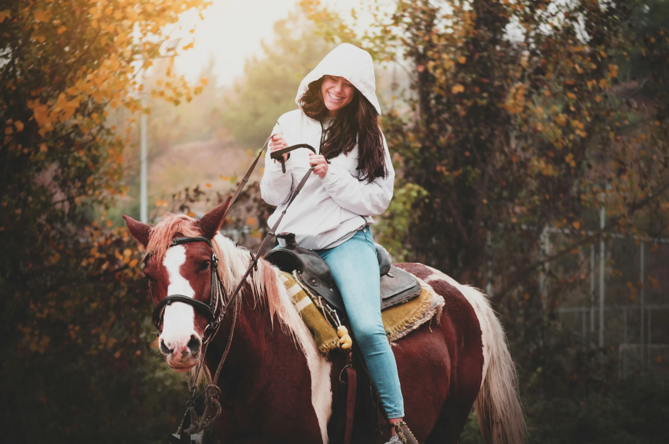 How To Train A Horse To Piaffe
