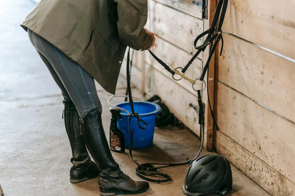 Breeches / Jodhpurs