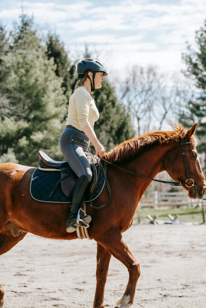 horse Riding jacket