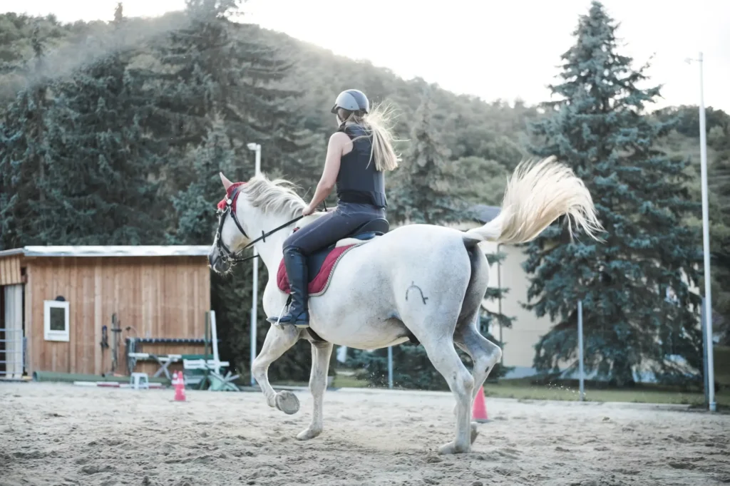 A girl following her passion by riding Andalusian horse
Photo by <a href="https://unsplash.com/@tompeham?utm_content=creditCopyText&utm_medium=referral&utm_source=unsplash">Thomas Peham</a> on <a href="https://unsplash.com/photos/woman-horseback-riding-beside-trees-and-mountain-in-distance-By4tbeH0AUE?utm_content=creditCopyText&utm_medium=referral&utm_source=unsplash">Unsplash</a>