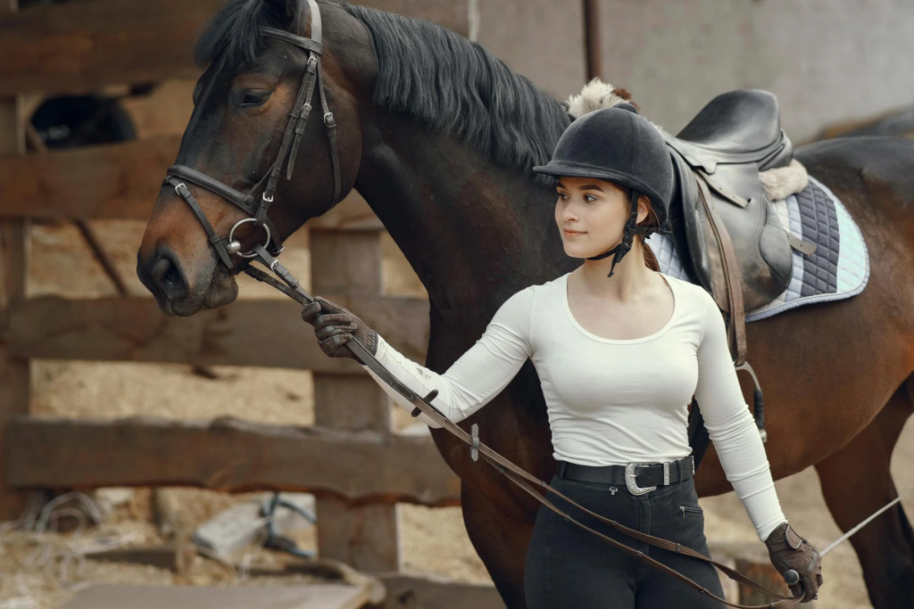 How Long Does It Take to Train a Horse
