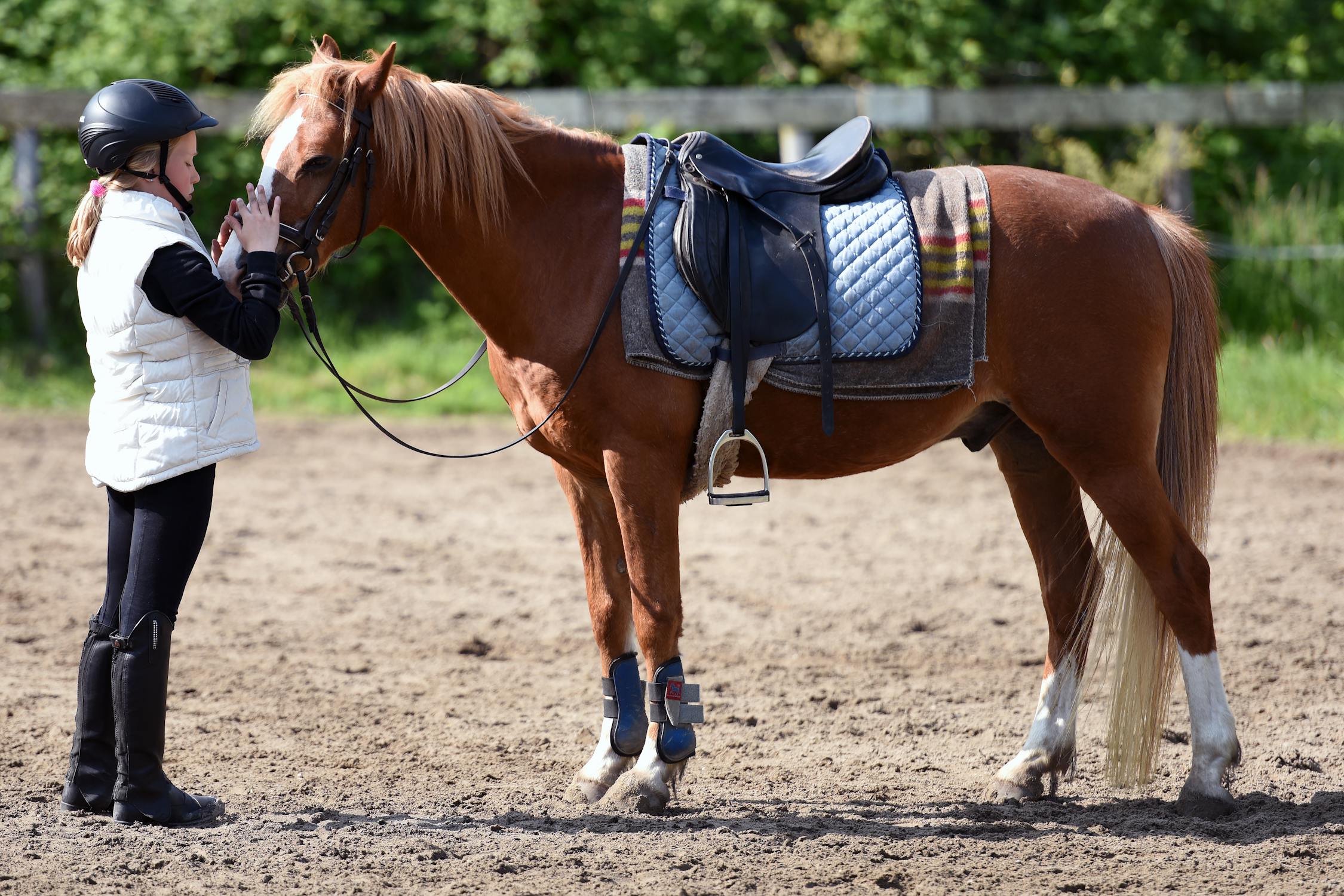 How to Improve Equestrian
